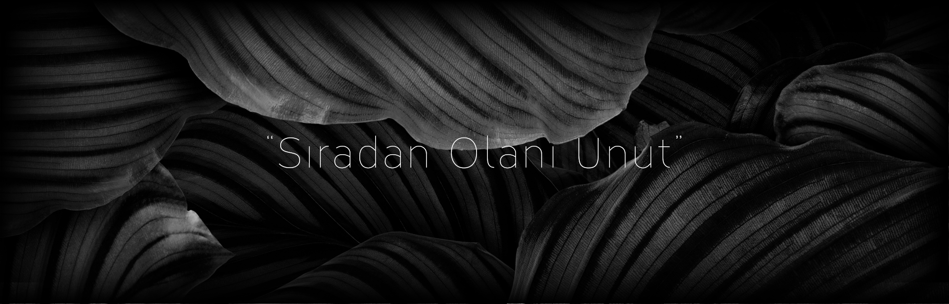 fion medya website ana sayfa banner